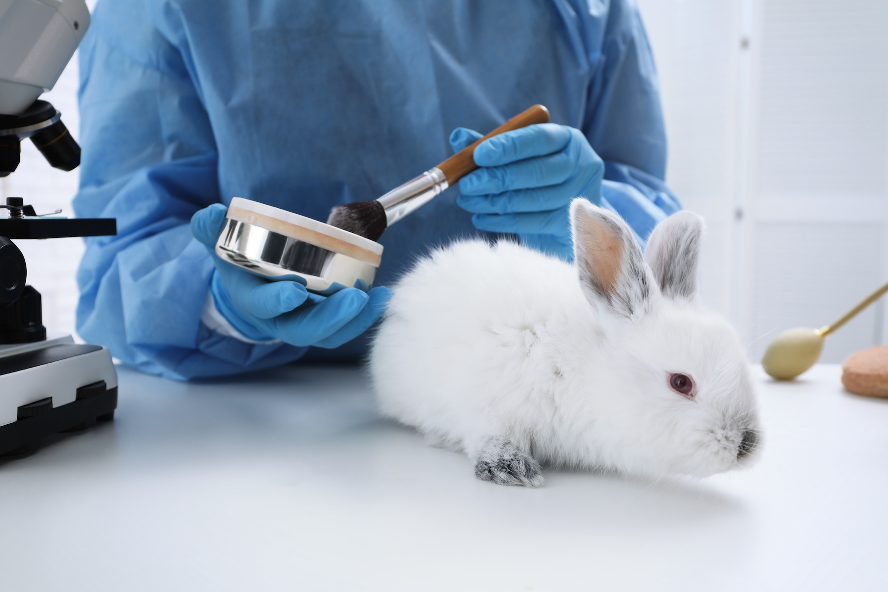 Scientist applying makeup to rabbit animal subject